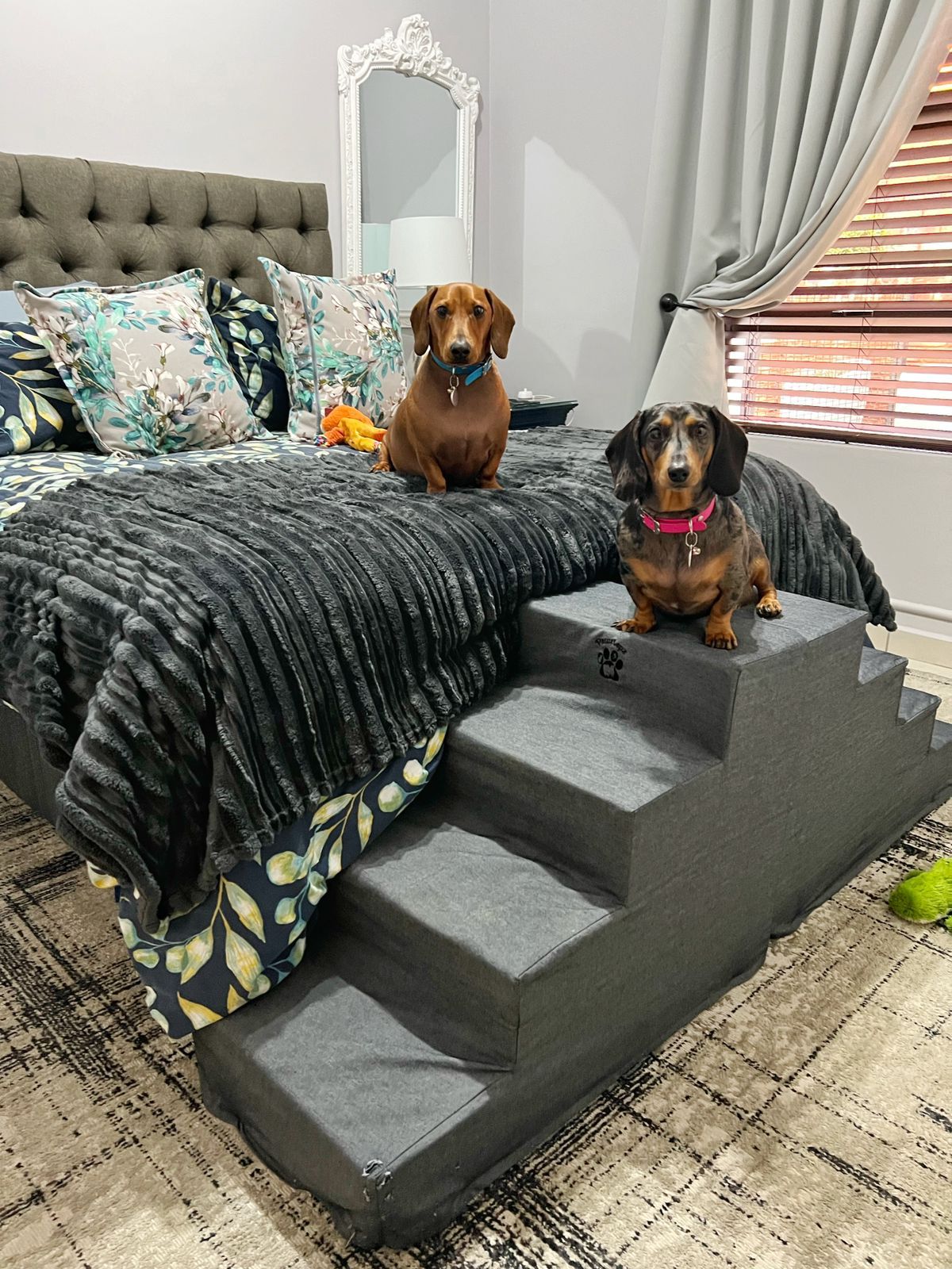 Pawstepz - Denim cover