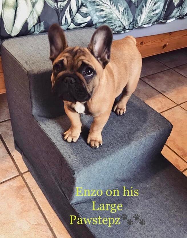 Pawstepz - Denim cover