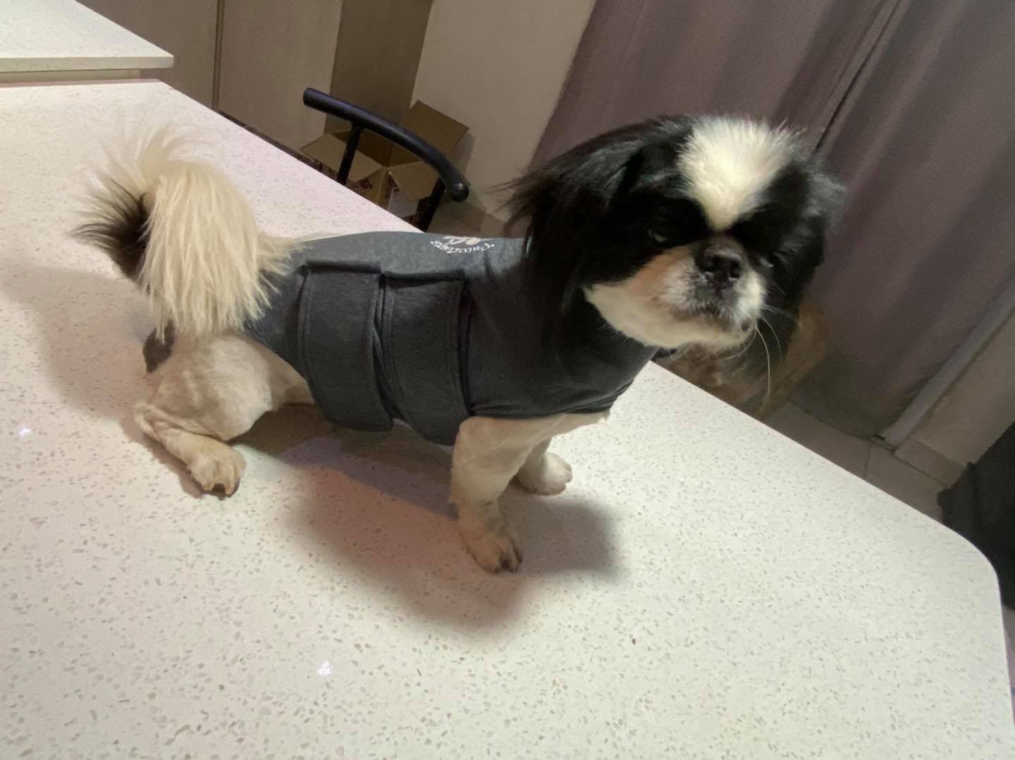 Hug Me Anxiety Jacket