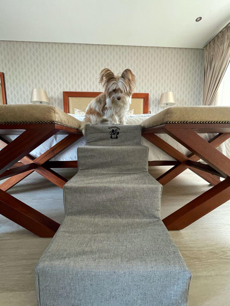 Pawstepz - Denim cover