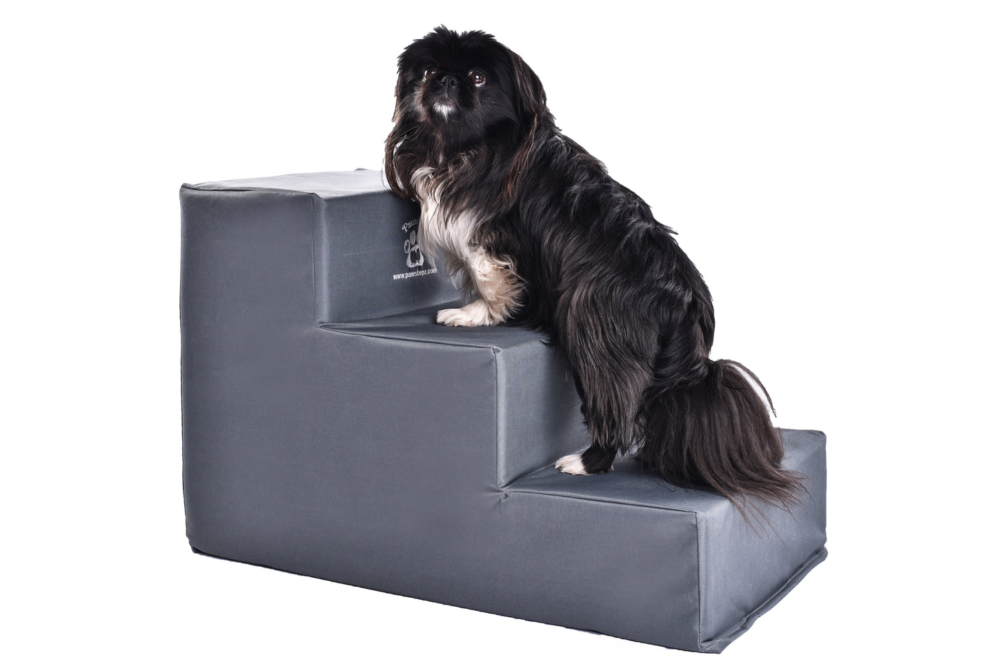 Pawstepz - Canvas cover