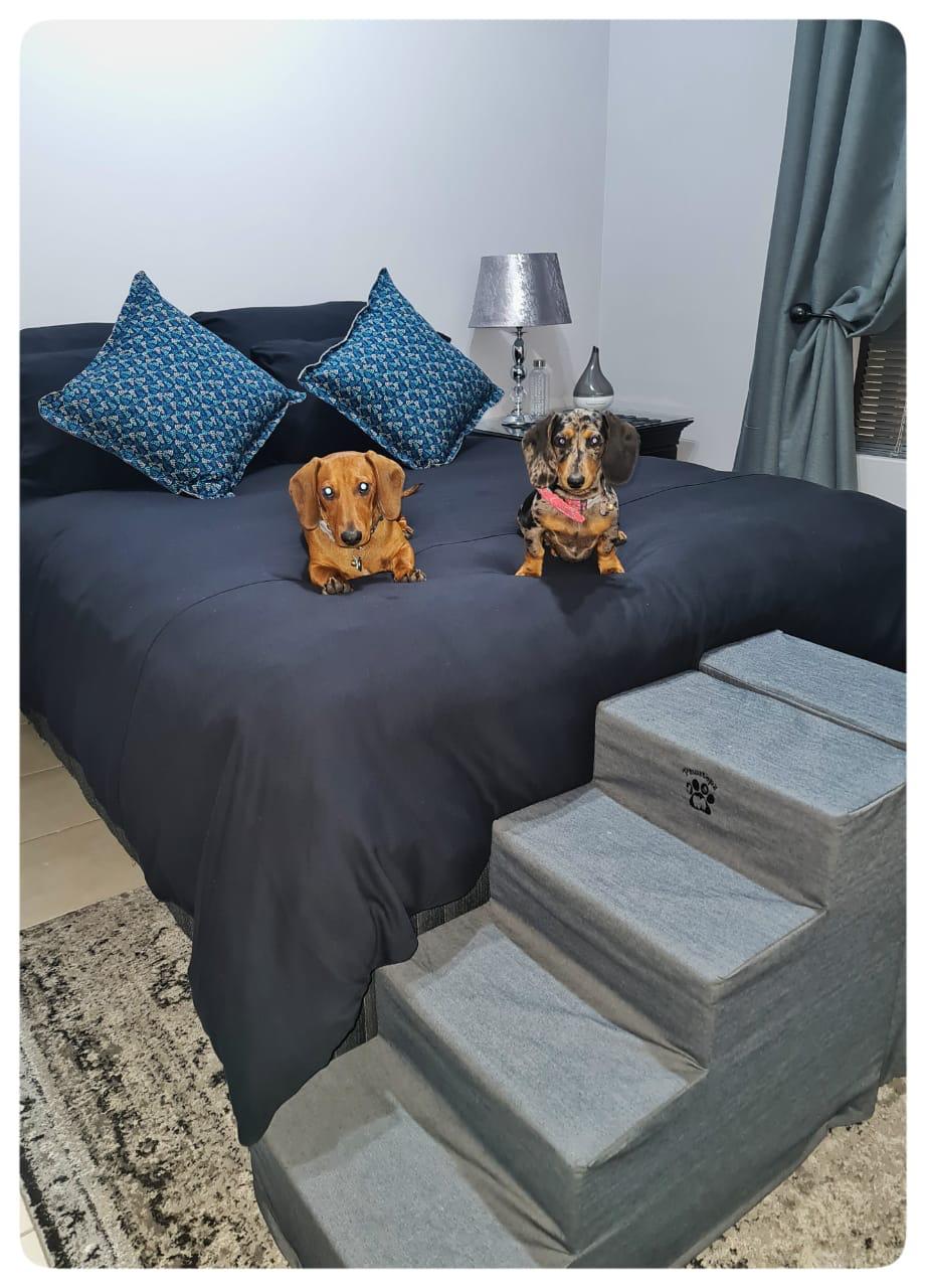 Pawstepz - Denim cover