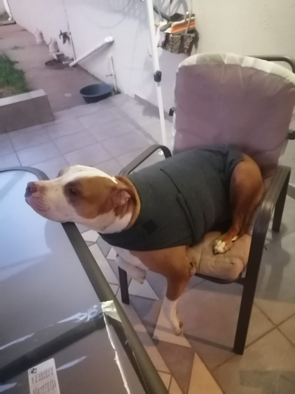 Hug Me Anxiety Jacket