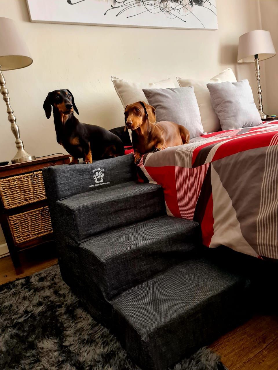 Pawstepz - Denim cover