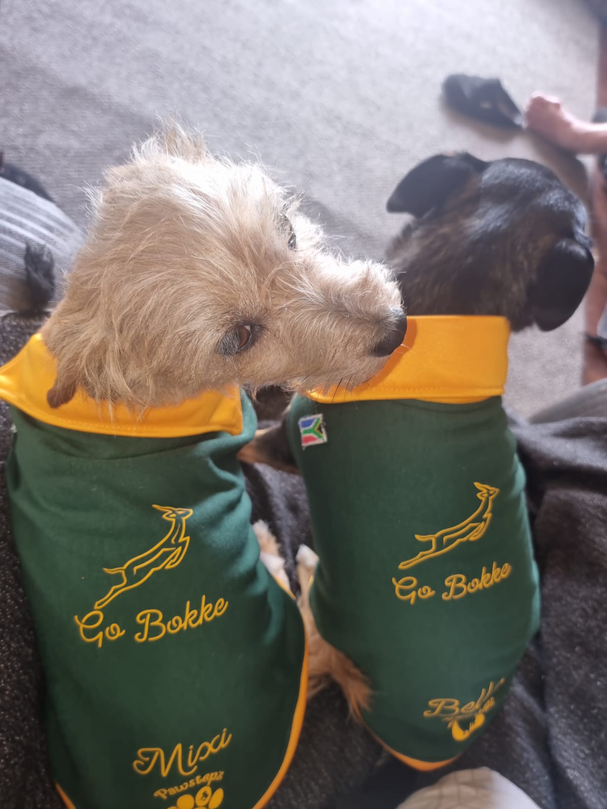 Suppawter Jackets - Standard