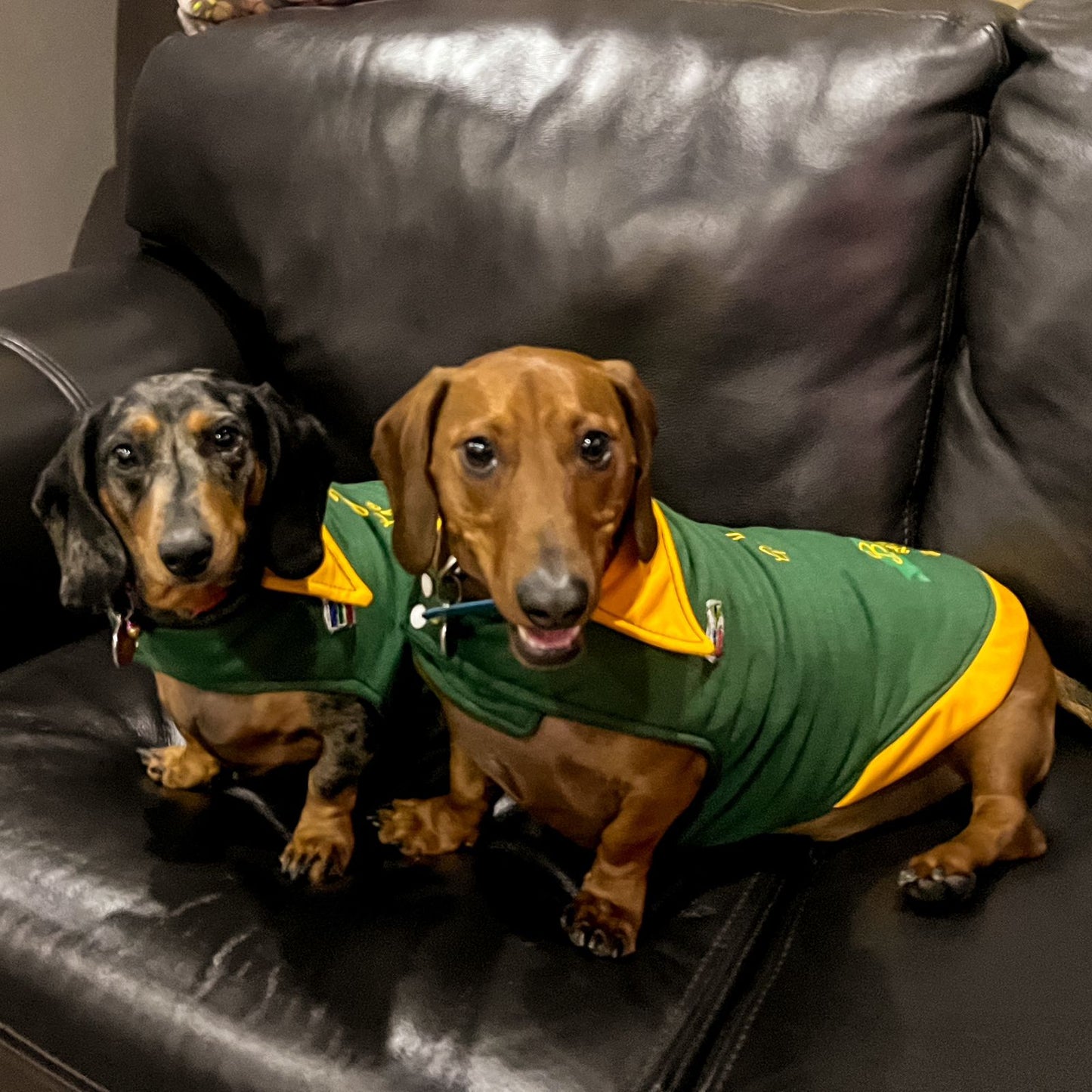 Suppawter Jackets - Standard